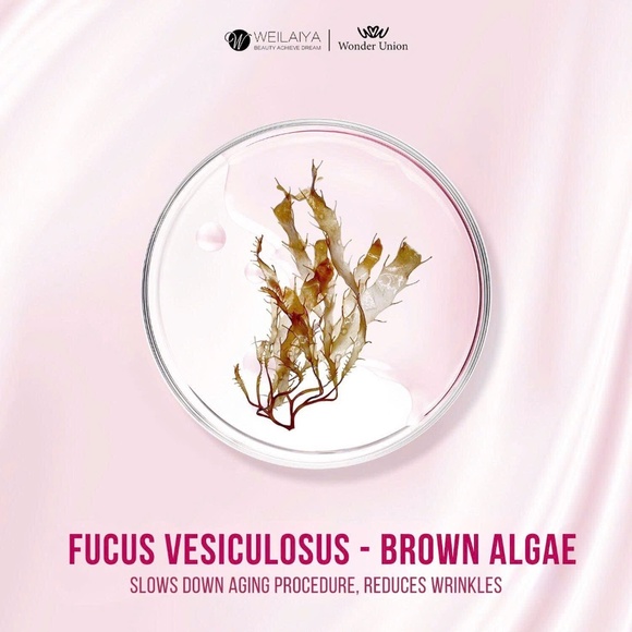 3pcs Brand New WEILAIYA Calendula Essence Shower Gel 450mL+Free Body Scrub 200mL - Picture 10 of 11